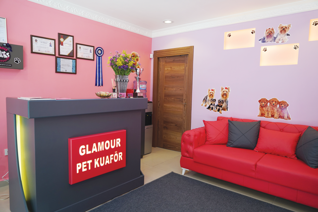 Pets glamour пролетарская ул 60 фото